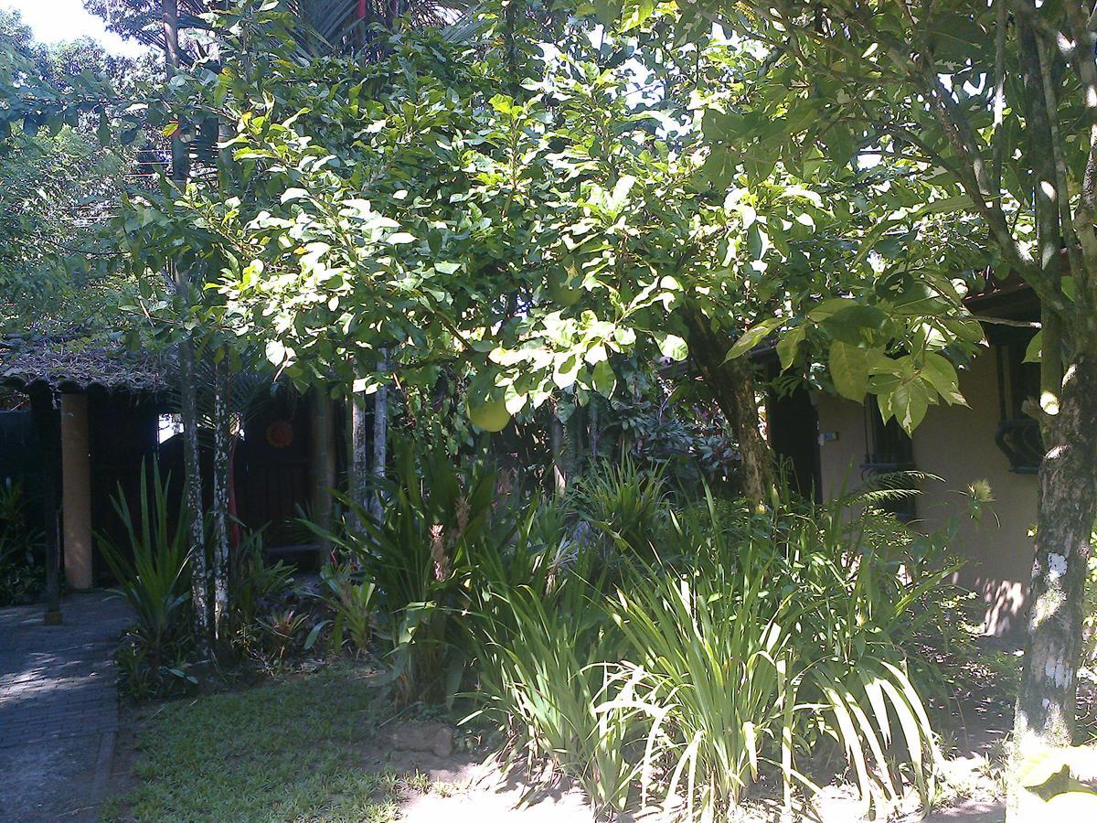 Playa Negra Guesthouse Cahuita Esterno foto